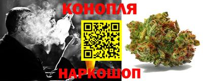 стаф Донской