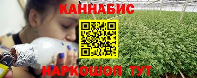 стаф Донской