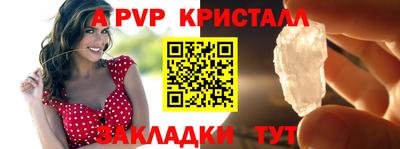 стаф Донской