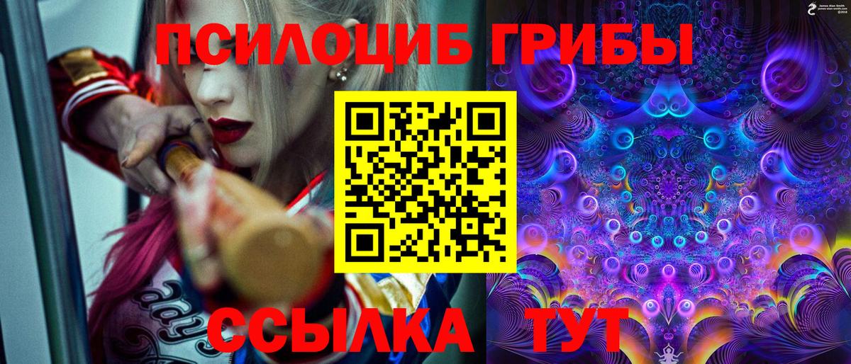 Псилоцибиновые грибы мухоморы Кыштым