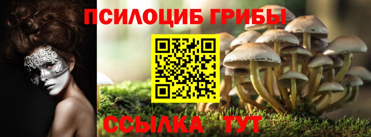 Псилоцибиновые грибы Magic Shrooms  Вход с VPN  Кыштым 